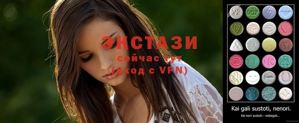 крисы Бородино