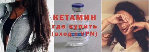 крисы Бородино