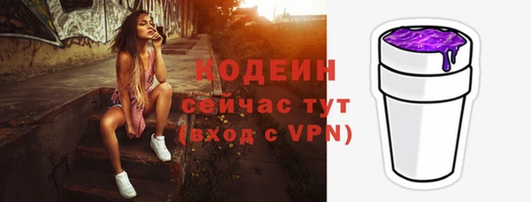 крисы Бородино