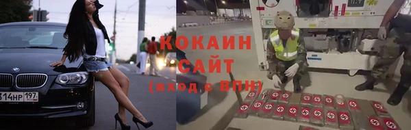 крисы Бородино