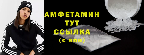 крисы Бородино
