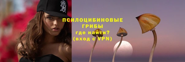 стафф Бронницы