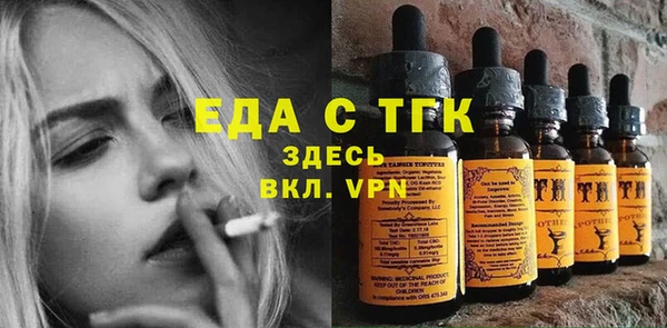 крисы Бородино
