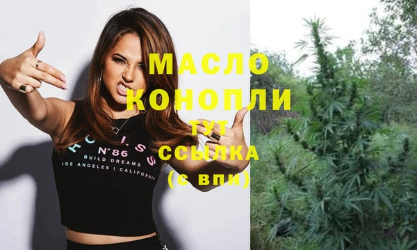 крисы Бородино