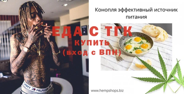 крисы Бородино