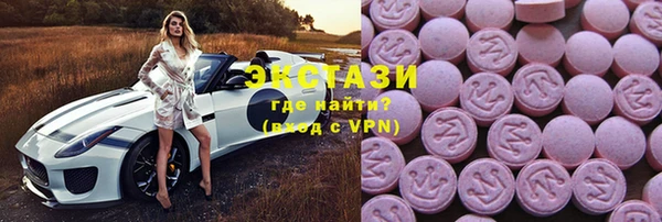крисы Бородино