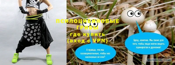 стафф Бронницы
