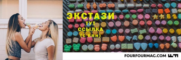 крисы Бородино