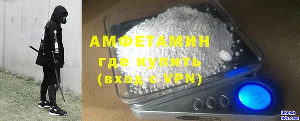 крисы Бородино